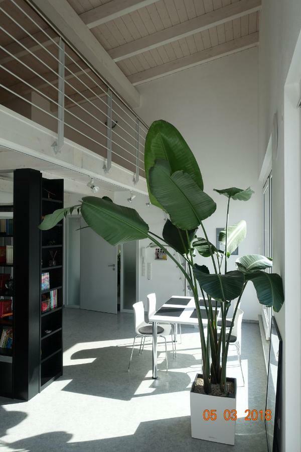 אאלן Ferienwohnung Himmlingen מראה חיצוני תמונה